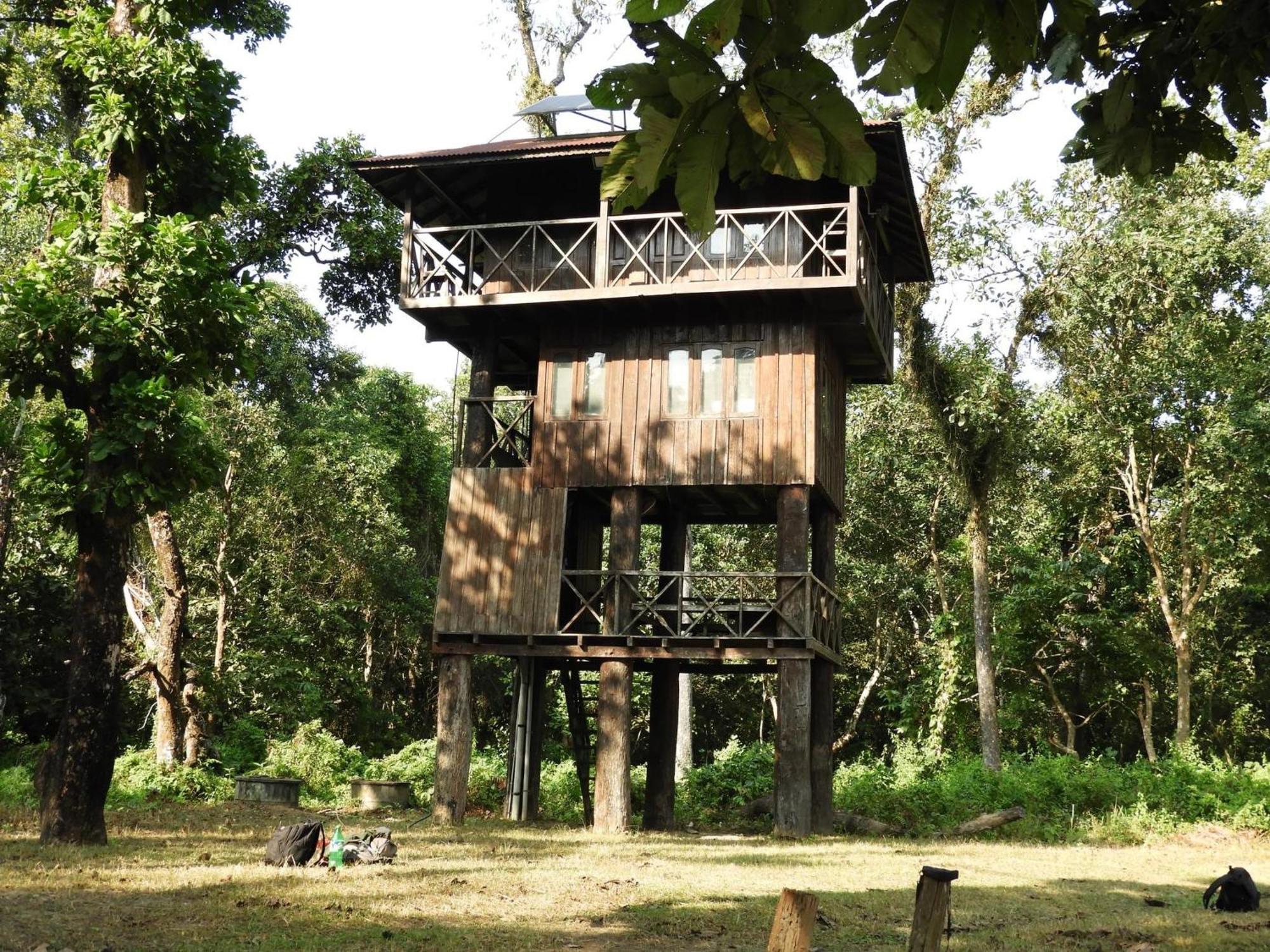 Typical Nepali Kitchen - No Pizza - No Pasta - No Problem !! Hotel Sauraha Exterior foto